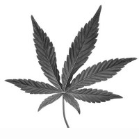 Cannabis leaf