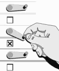 Voting